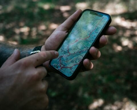 a person holding a cell phone